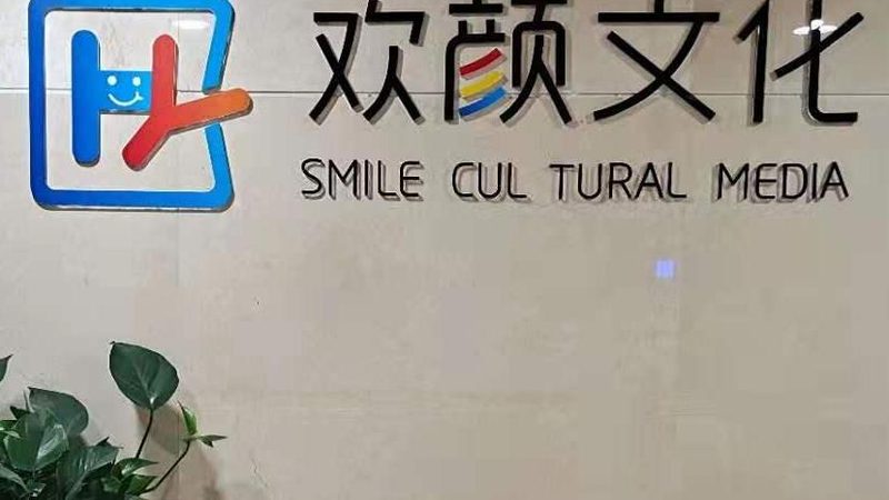 视频制作合同法律风险规避：关键点与案例分析