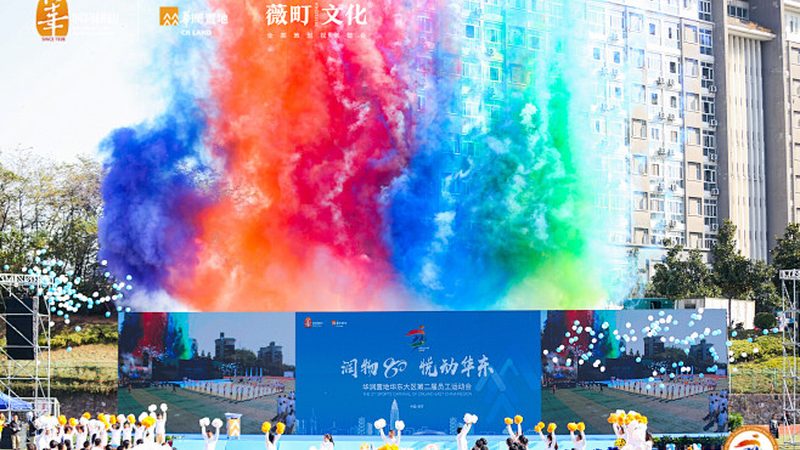 Logo设计和VI设计究竟哪个先做